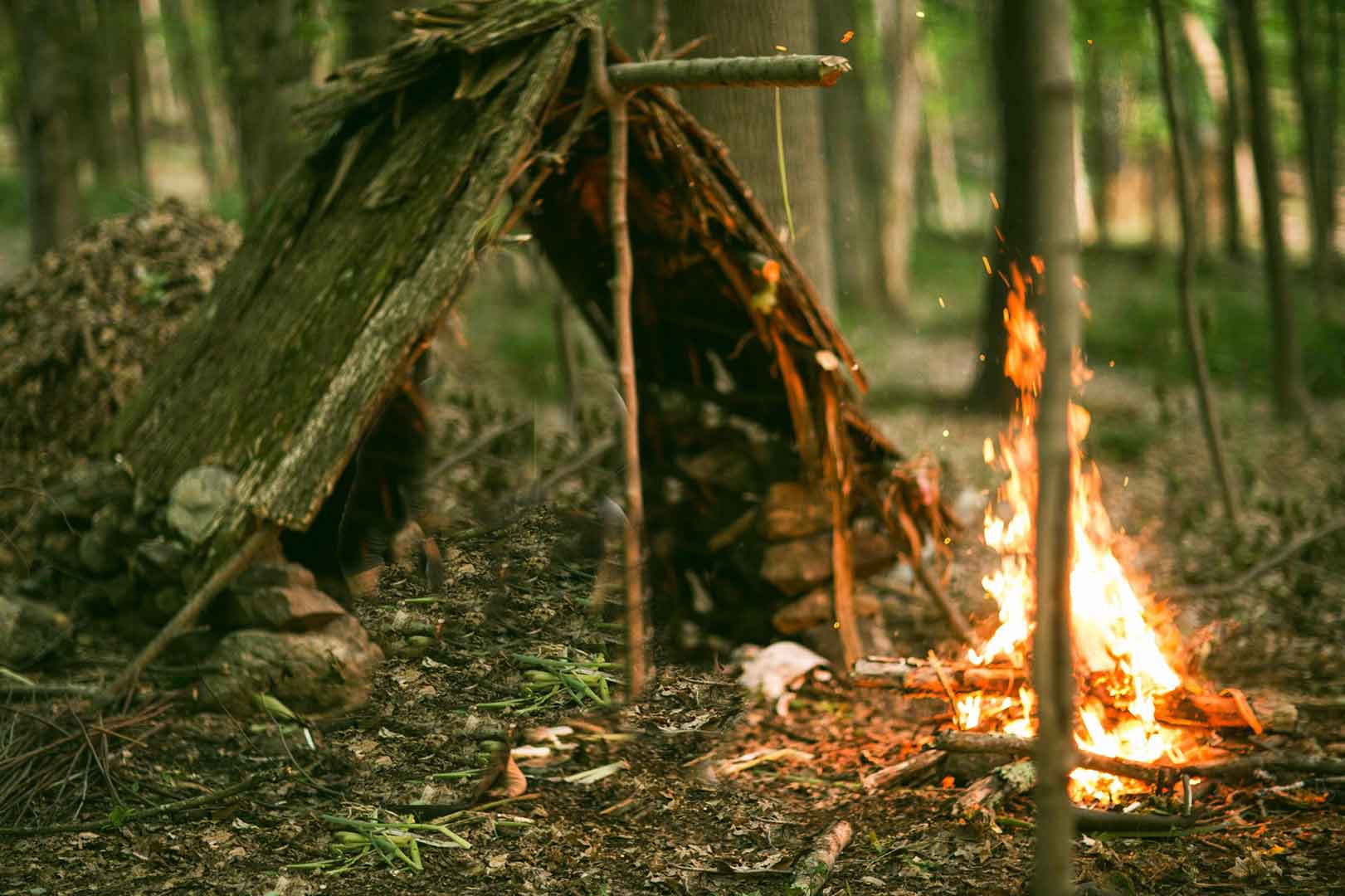 Shelter in the jungle perfect for castaways